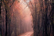 2-1，56岁上港旧帅发威：率英超第17奏凯，昂首晋级足总杯第四轮.