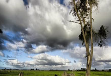 名场面｜日本光头称重现场故意找茬，敖日格勒被激怒，一回合轻松拿下.