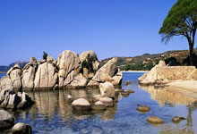 德约激战纳豆迷弟，斯瓦爆大冷不吝称赞菲小妹，泥地首用电子线审.